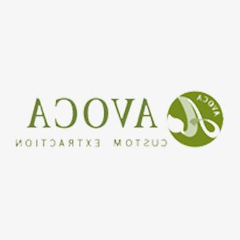 Avoca Inc